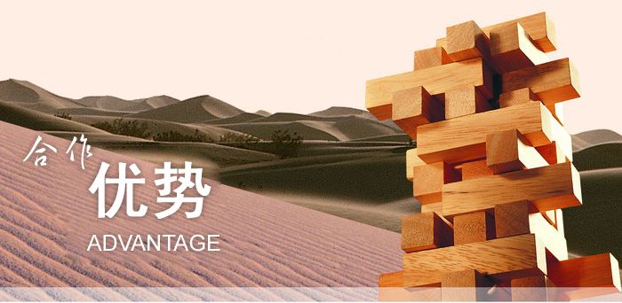 探討：小型網(wǎng)絡(luò)公司如何經(jīng)營